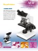 Binocular Microscope