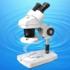 Binocular Stereo Fluorescent Light Microscope TX20-C