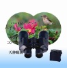 Binoculars / travel binoculars (RL-STG2)