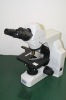 Biological Microscope