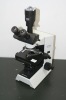 Biological microscopes