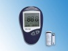 Blood Glucose Monitor System