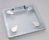 Body Fat and Water Scale