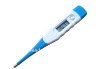 Body thermometer
