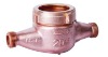 Bronze water meter body