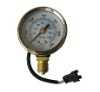 CNG Hall Pressure Gauge