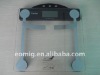 Calorie body weight scale
