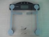Calorie weight scale
