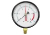 Capsule Pressure Gauge