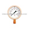 Capsule Pressure Gauge