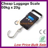 Cheap 50kg/110lb travel digital hanging scale, digital weighing scale, portable hook scale from Dongguan Expert factory