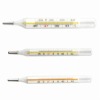 Clinical Oral/Flat Thermometer