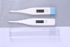 Clinical Thermometer