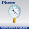 Common pressure gauge