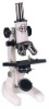 Compound Microscope