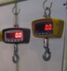 Crane Scale
