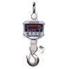 Crane Scale