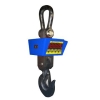 Crane Scale (Capacity:30ton*10kg)