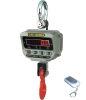 Crane Scales