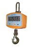 Crane scale/ hanging hook scale 1t