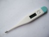 DIGITAL THERMOMETER