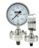 DN150mm Flange Connection Diaphragm Pressure Gauge