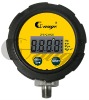 DPG-G2.5CB - 2.5" ROUND METER