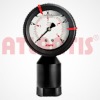 DS-100-60-PP-A;DS-100-60-PP-B Plastic Diaphragm Type Pressure Gauge