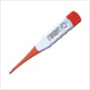 DT-111 Pen-shape Digital Thermometer