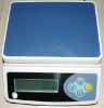 DT Series Weighting Scale