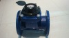 Detachable Woltman Dry-dial Digital Water Flow Meter