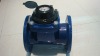 Detachable Woltman Dry-dial Water Meter (For irrigate the agricultrual Water)