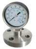 Diaphragm Gauge