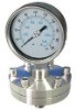 Diaphragm Pressure Gauge