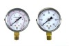 Diaphragm Seal Gauge