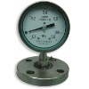 Diaphragm pressure gauge / meter