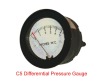 Differential Pressure Gauge