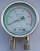 Differential pressure gauge