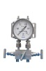 Differential pressure gauge