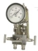 Differential pressure gauge