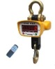 Digital Crane Scale