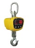 Digital Crane Scales