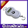 Digital Electronic Hanging Scale 10KG/5g