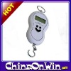 Digital Electronic Hanging Scale 5KG/5g