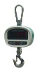 Digital Hanging Scales