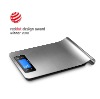 Digital Hanging scale