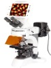 Digital LCD Fluorescence Microscope