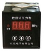 Digital Oil Pressure gauge 0~3Mpa