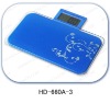 Digital Personal Scale