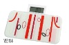 Digital Pocket Weighing Scale 180kg